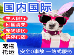 朝阳航空快递国际宠物托运 【国